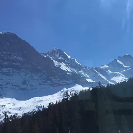 Carve - Eiger, Moench&jungfrau *