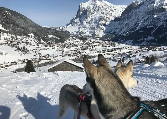 Carve - Eiger, Moench And Jungfrau * Grindelwald