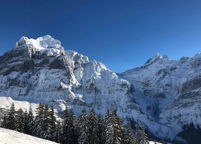 Appartement Carve - Eiger, Moench And Jungfrau
