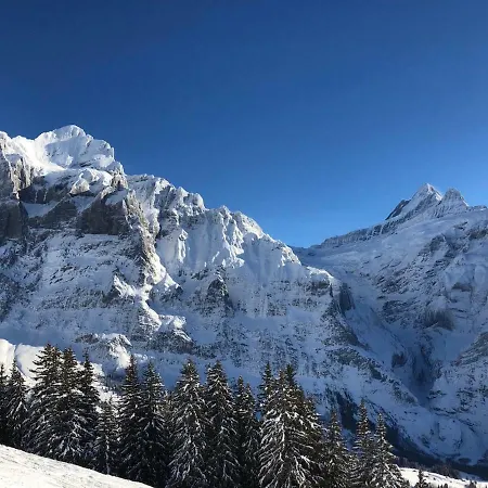 شقة Carve - Eiger, Moench And Jungfrau